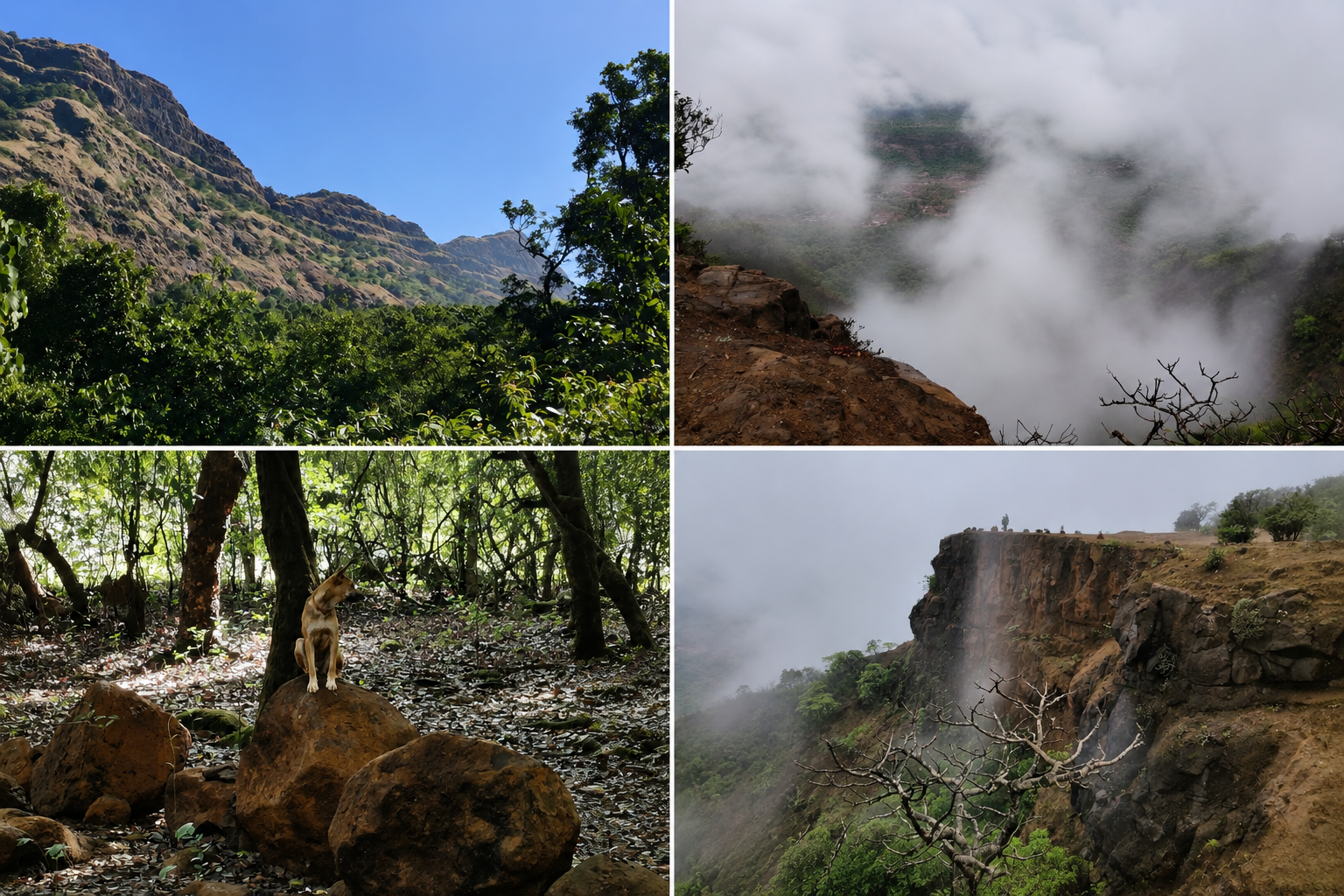 Nature near Kelad Greens